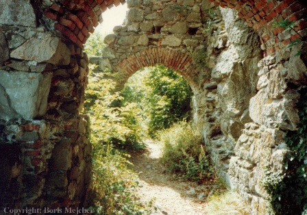 Mauerreste auf der Burg